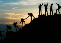 Training Dwyn 2025-85 Training Dwyn 2025-85